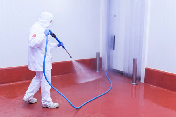 Best Playground Equipment Cleaning  in Statham, GA